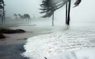 Post-Storm Inspection Checklist: What Tampa Bay Homeowners Should Check After a Hurricane
